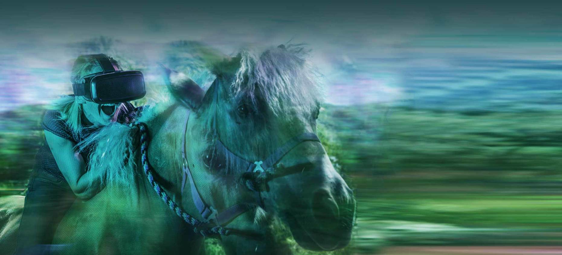A.R. horse image Monkey Helpers: our future -
