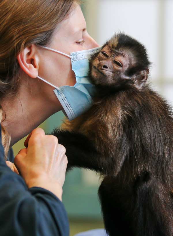 Monkey Living Center - staff member gives monkey a kiss
