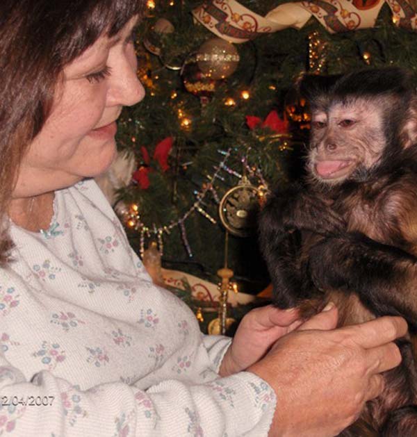 Monkey Helpers - Angie & JLee - photo of Angie and JLee next to Christmas tree