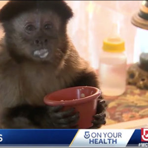 Helping Hands on WCVB - Farah holding a food bowl.